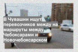 В Чувашии ищут перевозчиков между на маршруты между Чебоксарами и Новочебоксарском