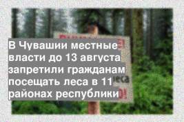 В Чувашии местные власти до 13 августа запретили гражданам посещать леса в 11 районах республики