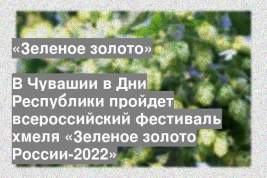 В Чувашии в Дни Республики пройдет всероссийский фестиваль хмеля «Зеленое золото России-2022»