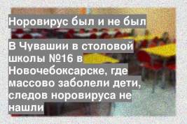 В Чувашии в столовой школы №16 в Новочебоксарске, где массово заболели дети, следов норовируса не нашли