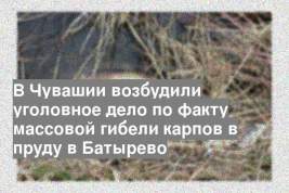 В Чувашии возбудили уголовное дело по факту массовой гибели карпов в пруду в Батырево