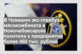 В Чувашии экс-главбух мясокомбината в Новочебоксарске похитила у предприятия более 460 тыс. рублей