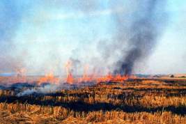 В Чувашии за сутки дважды горела сухая трава