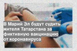 В Марий Эл будут судить жителя Татарстана за фиктивную вакцинацию от коронавируса