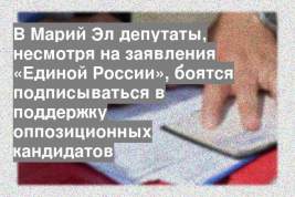 В Марий Эл депутаты, несмотря на заявления «Единой России», боятся подписываться в поддержку оппозиционных кандидатов