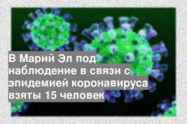 В Марий Эл под наблюдение в связи с эпидемией коронавируса взяты 15 человек