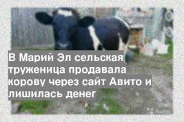 В Марий Эл сельская труженица продавала корову через сайт Авито и лишилась денег