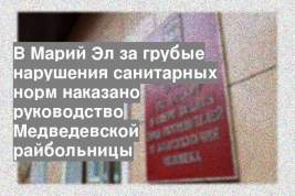 В Марий Эл за грубые нарушения санитарных норм наказано руководство Медведевской райбольницы