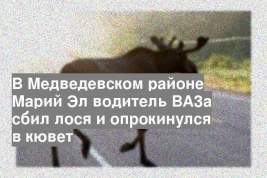 В Медведевском районе Марий Эл водитель ВАЗа сбил лося и опрокинулся в кювет