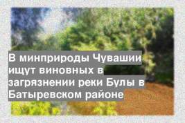 В минприроды Чувашии ищут виновных в загрязнении реки Булы в Батыревском районе
