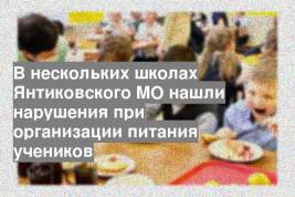В нескольких школах Янтиковского МО нашли нарушения при организации питания учеников