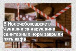 В Новочебоксарске в Чувашии за нарушение санитарных норм закрыли пять кафе