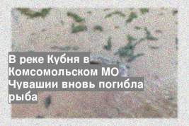 В реке Кубня в Комсомольском МО Чувашии вновь погибла рыба