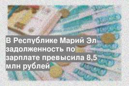 В Республике Марий Эл задолженность по зарплате превысила 8,5 млн рублей