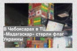 В Чебоксарах в ТЦ «Мадагаскар» стерли флаг Украины