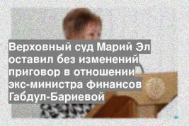 Верховный суд Марий Эл оставил без изменений приговор в отношении экс-министра финансов Габдул-Бариевой