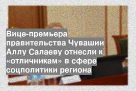 Вице-премьера правительства Чувашии Аллу Салаеву отнесли к «отличникам» в сфере соцполитики региона
