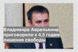 Владимира Аврелькина приговорили к 4,5 годам лишения свободы