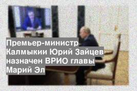 Премьер-министр Калмыкии Юрий Зайцев назначен ВРИО главы Марий Эл