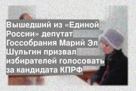 Вышедший из «Единой России» депутат Госсобрания Марий Эл Шульгин призвал избирателей голосовать за кандидата КПРФ