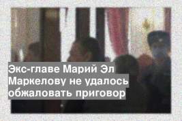 Экс-главе Марий Эл Маркелову не удалось обжаловать приговор