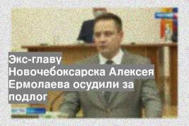 Экс-главу Новочебоксарска Алексея Ермолаева осудили за подлог