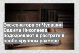 Экс-сенатора от Чувашии Вадима Николаева подозревают в растрате в особо крупном размере