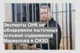 Эксперты ОНК не обнаружили пыточных условий содержания Маркелова в СИЗО