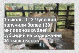 За июль ЛПХ Чувашии получили более 139 миллионов рублей субсидий на содержание 45 тысяч коров