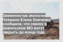 Замминистра экологии Чувашии Елена Хомченко сообщила, что свалку в Цивильском МО могут закрыть до конца года