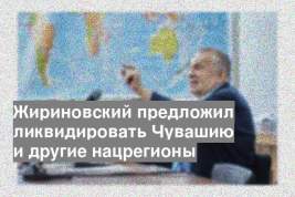 Жириновский предложил ликвидировать Чувашию и другие нацрегионы