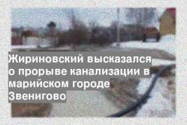 Жириновский высказался о прорыве канализации в марийском городе Звенигово