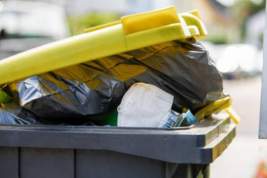 Жители Чувашии вновь жалуются на переполненные мусорные контейнеры