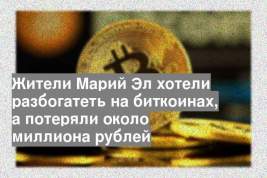 Жители Марий Эл хотели разбогатеть на биткоинах, а потеряли около миллиона рублей