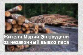 Жителя Марий Эл осудили за незаконный вывоз леса