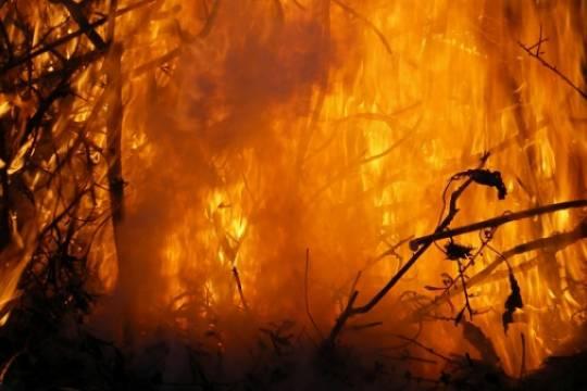 В Чувашии объявили дату начала пожароопасного сезона