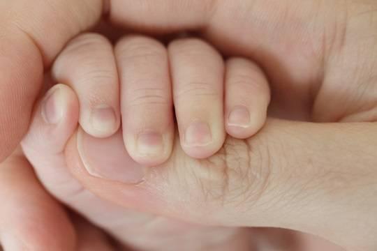 В регионе разработают механизм помощи лишившимся опеки над детьми родителям